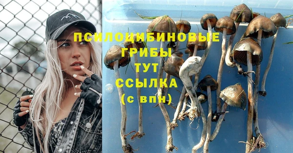 spice Вязники
