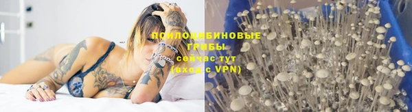 стаф Вяземский