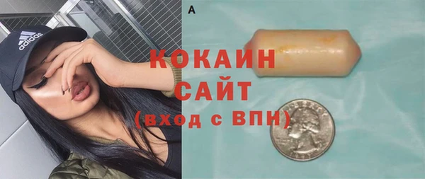 стаф Вяземский