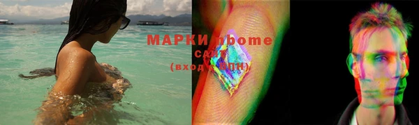 стаф Вяземский
