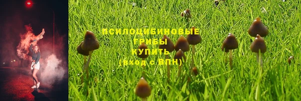 стаф Вяземский