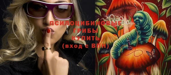 стаф Вяземский