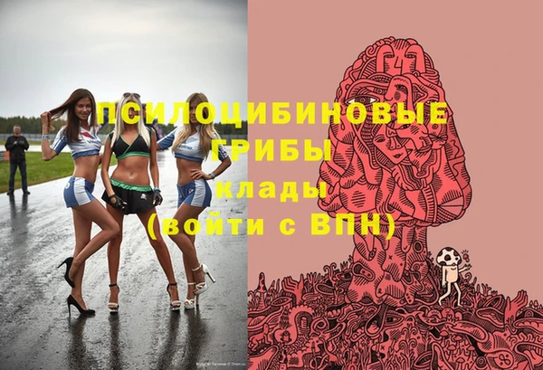 spice Вязники