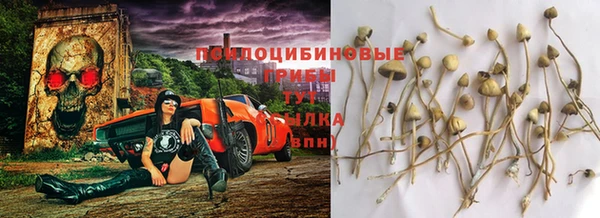 стаф Вяземский