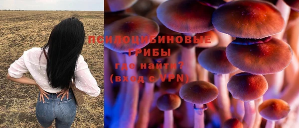spice Вязники
