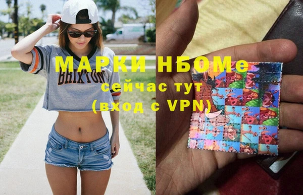 стаф Вяземский