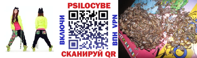 Галлюциногенные грибы Psilocybe  наркота  Хабаровск 